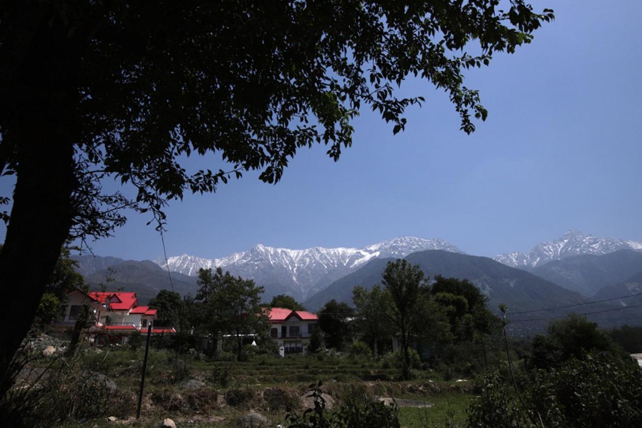 Harmony Blue Mcleodganj Hotel McLeod Ganj Bagian luar foto